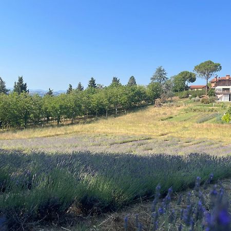 Agriturismo Villa Beatrice Mondavio Eksteriør bilde