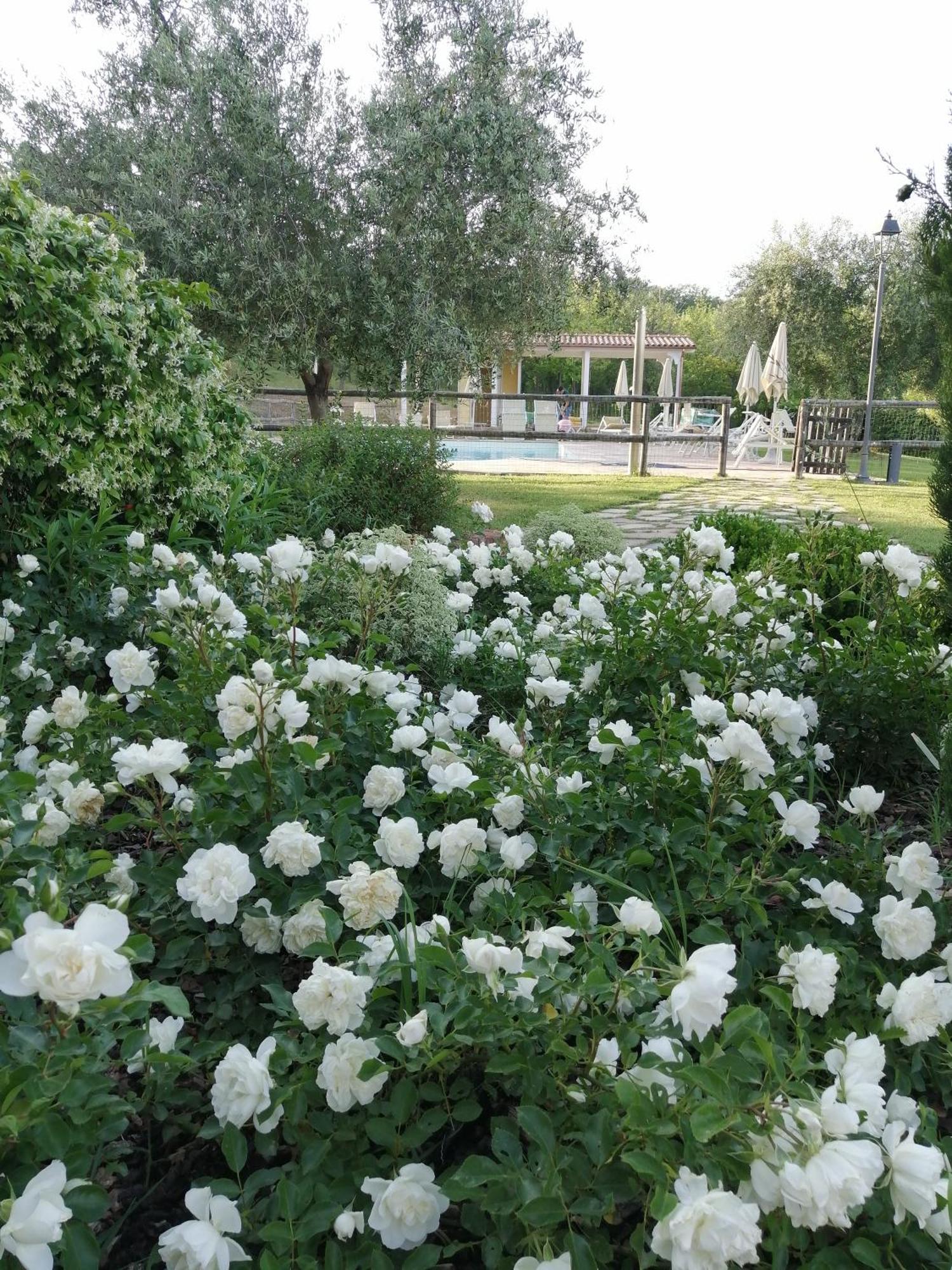 Agriturismo Villa Beatrice Mondavio Eksteriør bilde